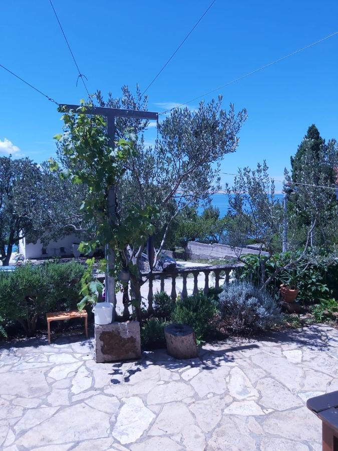 Apartments & Rooms Neno Tribanj-Kruscica Εξωτερικό φωτογραφία